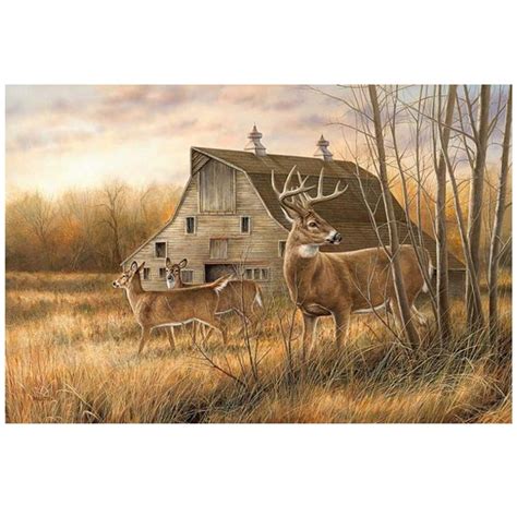 Whitetail Deer Canvas Art | Wrapped | Deserted Farmstead | Wild Wings