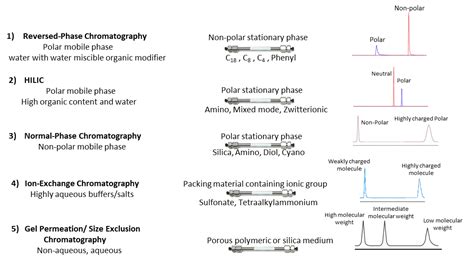 What Is Polar Stationary Phase - News Current Station In The Word