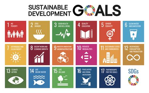 The 17 Sustainable Development Goals: A Practical Guide to Transforming ...