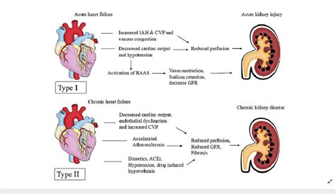 Pathophysiology of Type I and II Cardiorenal syndrome IAH ...