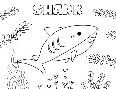 Printable Shark Coloring Pages