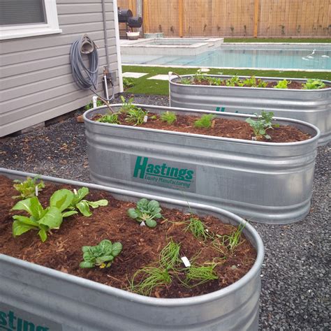 Watering Troughs as Veggie Beds | Garden troughs, Stock tank gardening, Water trough