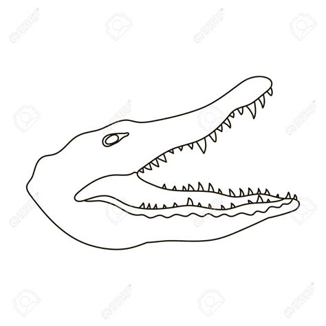 Crocodile Outline Drawing at GetDrawings | Free download