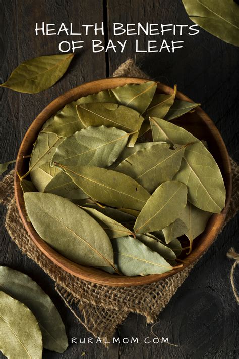 Steep This! Health Benefits of Bay Leaf Rural Mom | Bay leaves, Health, Health benefits