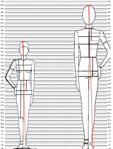 Free use Height scale by FrostCoveredFields on DeviantArt