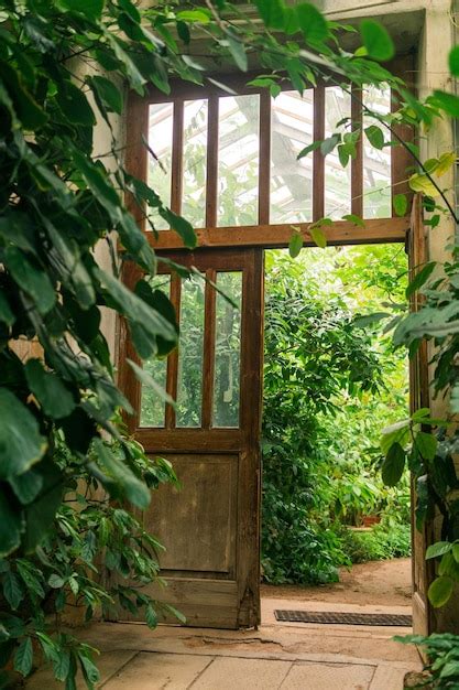 Premium Photo | Interior of an old greenhouse with a collection of tropical plants