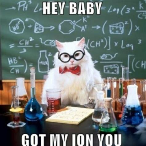 Lisbon High School blog: More Kitty Cat Chemistry Jokes