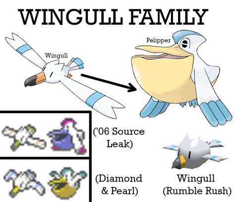 Wingull Family Collage by AuroraObfuscate on DeviantArt