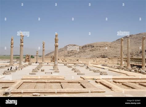 Columns of Apadana Palace, Persepolis, Iran Stock Photo - Alamy