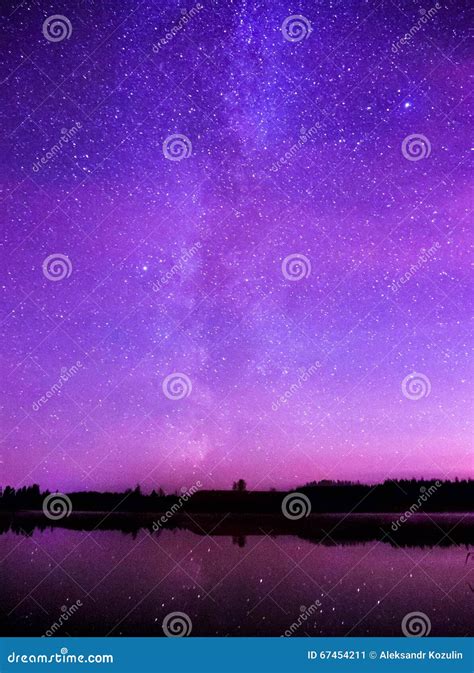 Night Starry Sky And The Forest For Background Stock Photography | CartoonDealer.com #44550722