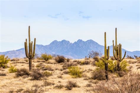 354,204 Arizona Desert Images, Stock Photos, 3D objects, & Vectors | Shutterstock