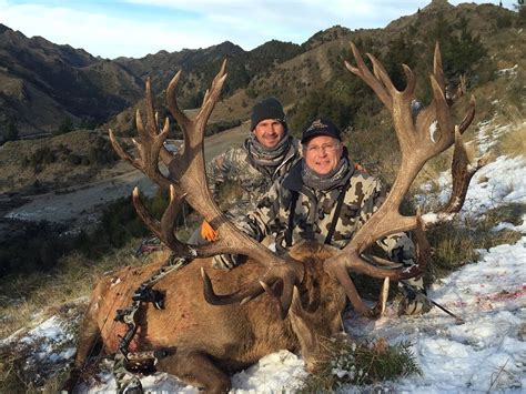 5-Day Red Stag Hunt for Two Hunters in New Zealand - Includes Trophy ...