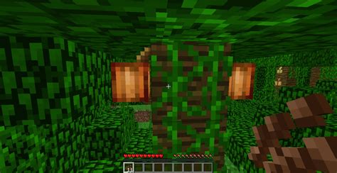 1.3 sneak peek: Cocoa Beans Minecraft Blog