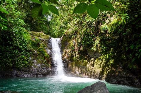 Day Trip to the Uvita Waterfall • Bodhi Surf + Yoga