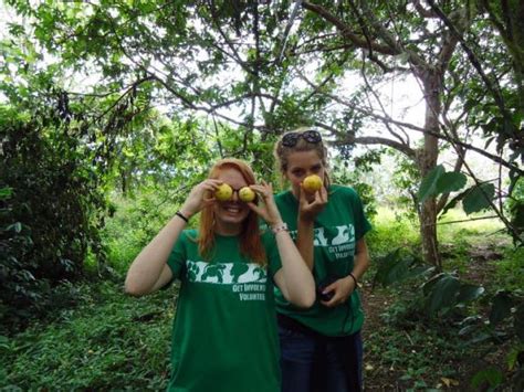 Galapagos conservation project | Responsible Travel