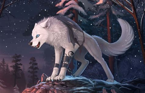 Anime Werewolf Wallpaper