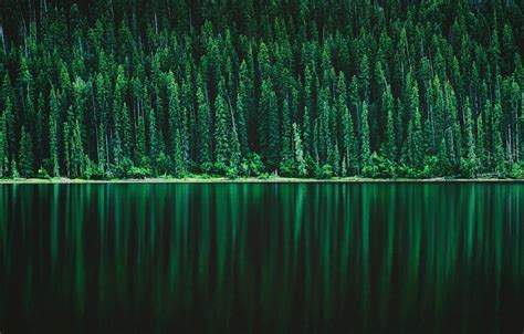 Dark Forest Lake Wallpapers - Top Free Dark Forest Lake Backgrounds - WallpaperAccess