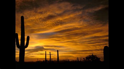 Sonoran Desert Wallpapers - Top Free Sonoran Desert Backgrounds ...