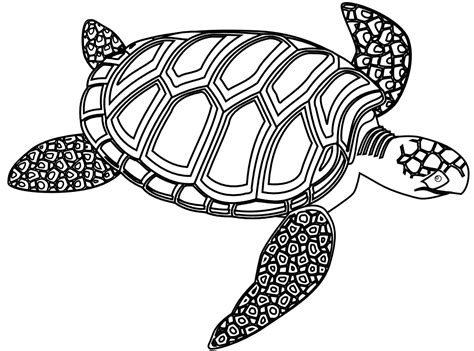 Free Turtle Outline Cliparts, Download Free Turtle Outline Cliparts png images, Free ClipArts on ...