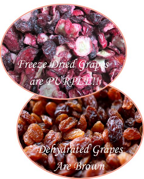 Freeze-Dried vs Dehydrated foods | Simple Family Preparedness