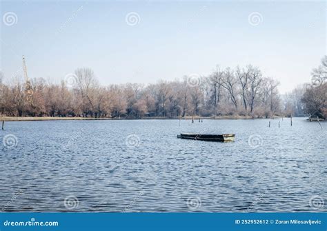 Danube River Delta in Winter Stock Photo - Image of cold, cloudy: 252952612