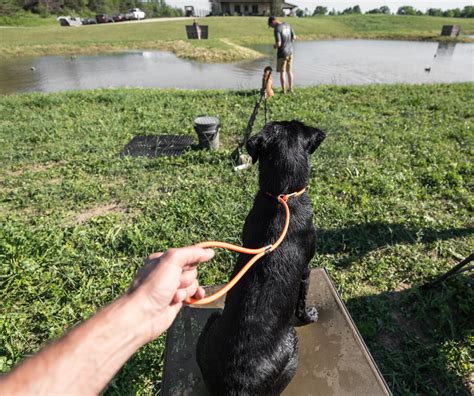 Round Handlers Slip BioThane Lead — RPM Training Products