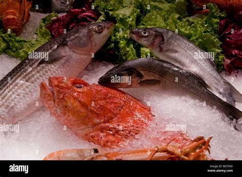 Seafood restaurant in Venice Italy showing off their stuff in a icebox ...