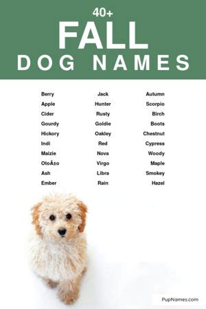 40+ Fall Dog Names (+ Meanings) | PupNames.com™