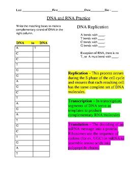 DNA Replication, Transcription, and Translation Practice Worksheet