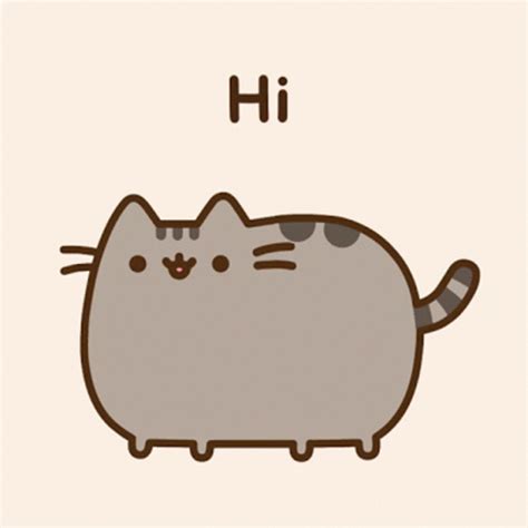 Hi Pusheen GIF - Hi Pusheen Hello - Discover & Share GIFs