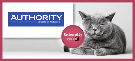 Authority Cat Food Review - The Daily Cat