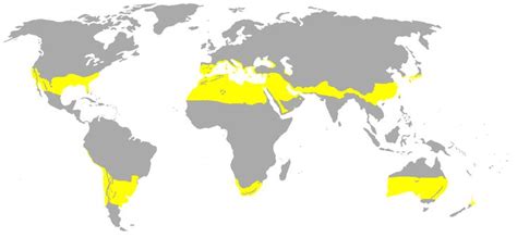 Areas of the world with subtropical climates according to Köppen climate classification | Map ...