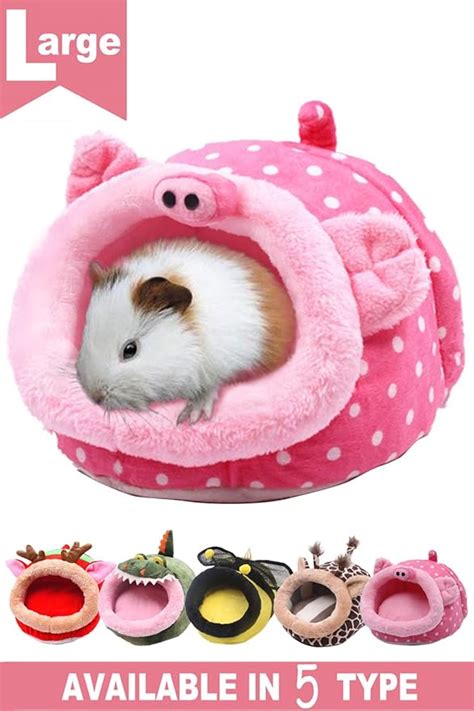 Best Guinea pig toys - Little Furry Pets