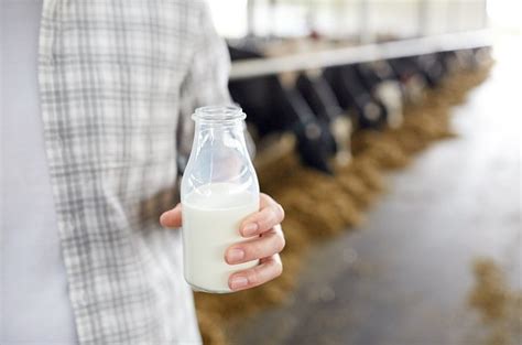 Buffalo Milk vs Cow Milk: What's the difference? - Nutrition Vistas