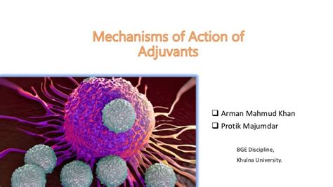 Mechanisms of Action of Adjuvants