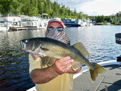 Rainy Lake Fishing Report: Walleye Patterns Emerging - Minnesota Vacations | Family Fun in the ...