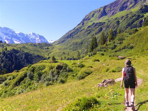 Team Cujo: Hiking the Swiss Alps