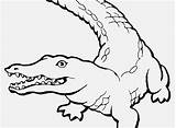 Nile Crocodile Coloring Page At GetDrawings  Free Download sketch template