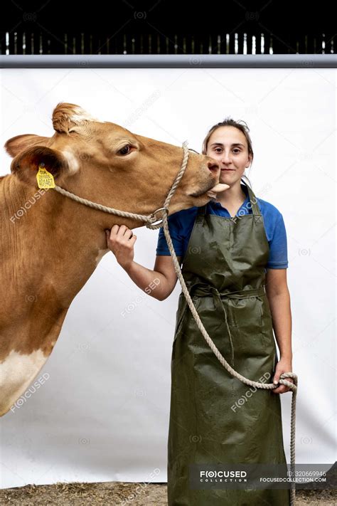 Portrait of female farmer wearing green apron with a Guernsey cow. — smiling, cattle - Stock ...