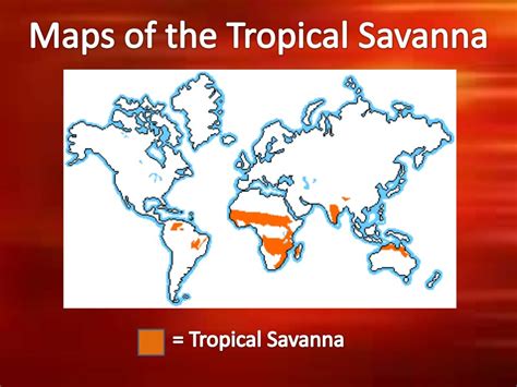 Tropical savanna