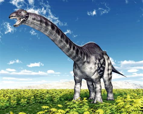 Apatosaurus, The Deceptive Lizard | Dino Digest