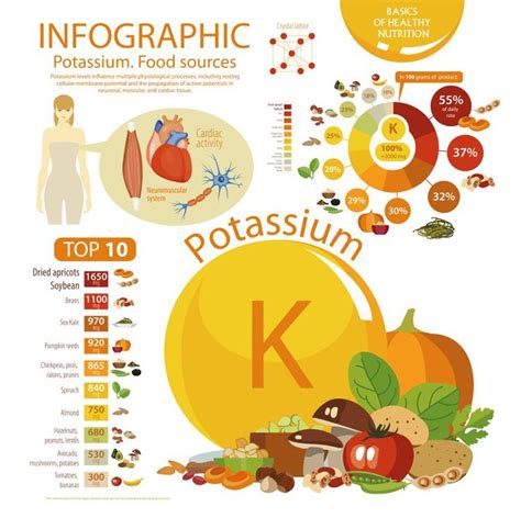 High Potassium Food List - Easy Recipe Depot