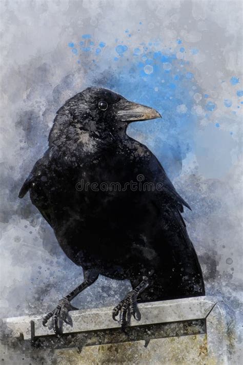 Portrait of a Crow Bird, Watercolor Painting. Bird Illustration Stock Illustration ...