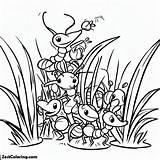Ants Party Between Grass Coloring Pages  For Kids – Smart sketch template