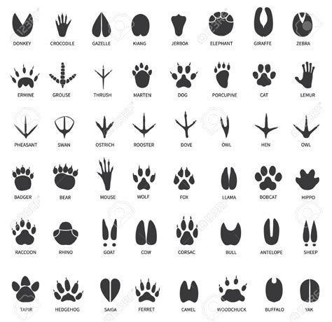 Printable Wolf Paw Prints - Printable Templates