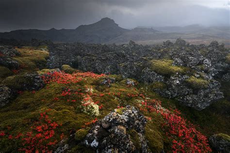 Lavascapes | Lava landscape in Iceland during a gloomy after… | Flickr