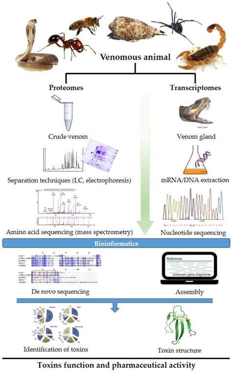 Figure 1 from Advances in venomics: Modern separation techniques and mass spectrometry ...