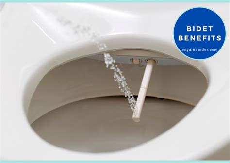 Berkeley Bidet Installation CA - Bay Area Bidet