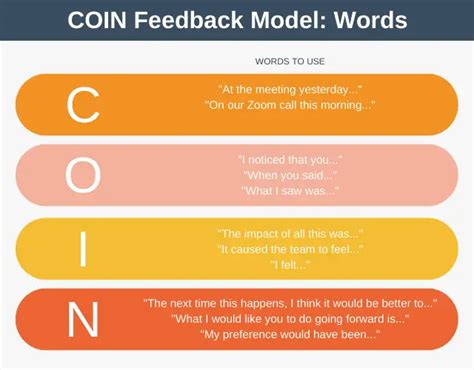 The COIN Feedback Model Explained