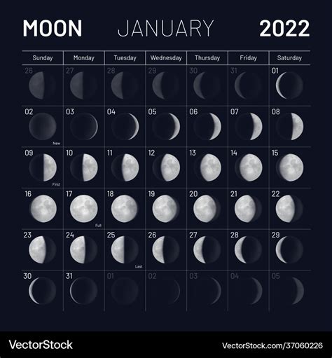 January moon phases calendar on dark night sky Vector Image